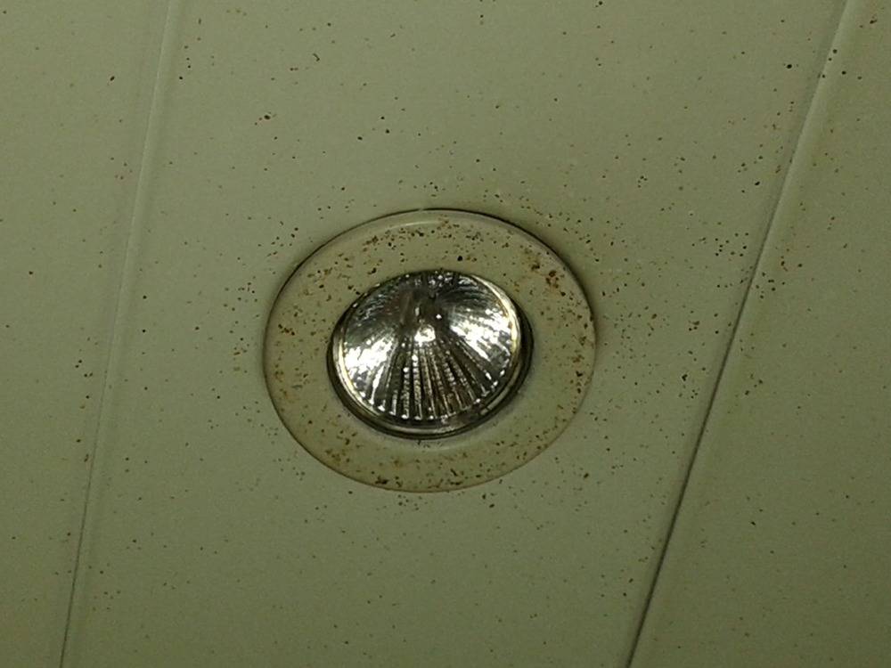 Nettoyage - plafond -lames-alu-cuisine-Mulhouse(37)
