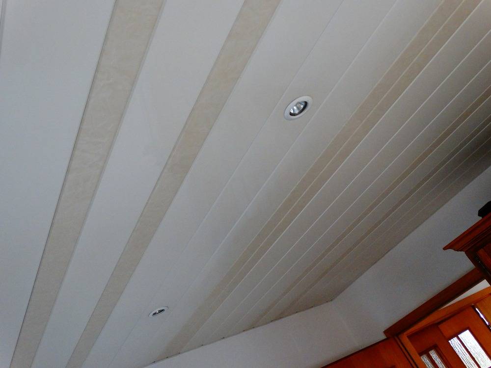 Lessivage- Nettoyage - plafond -lames-alu-cuisine-Saudheim  (46)