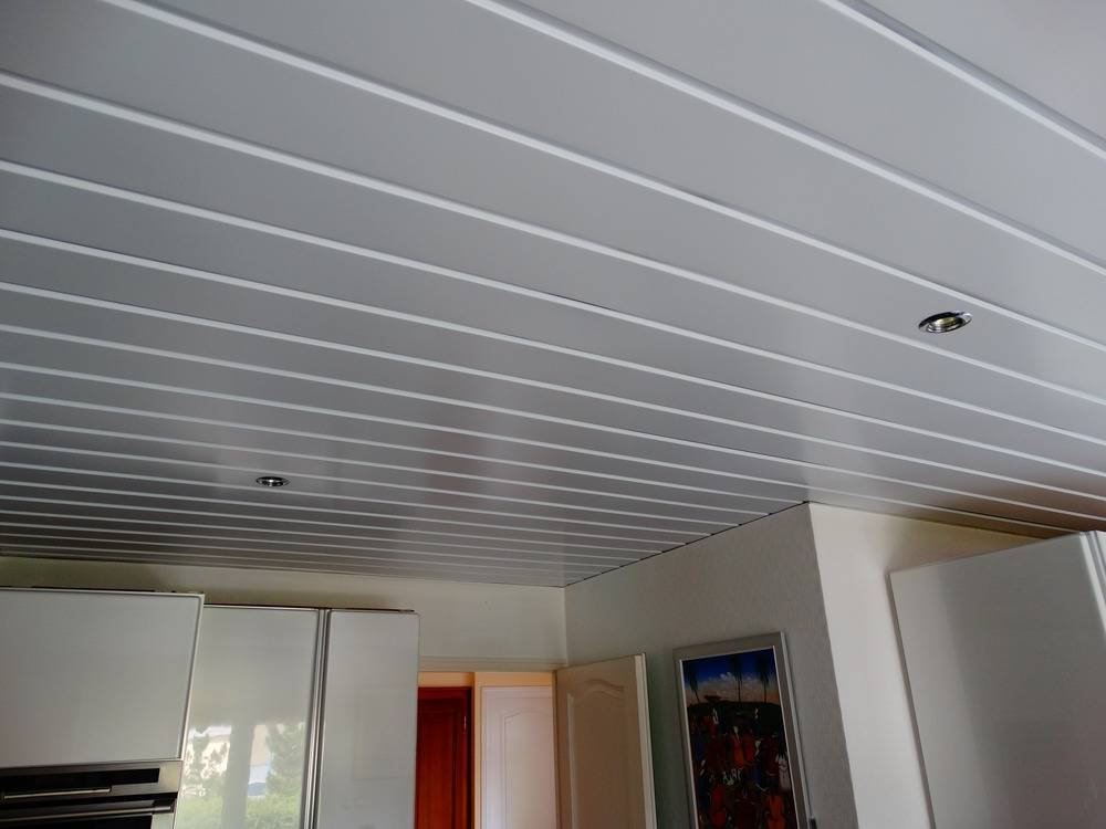 Lessivage- Nettoyage - plafond -lames-alu-cuisine-Belfort   (59)