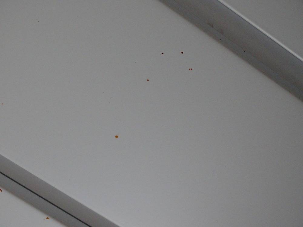 Lessivage- Nettoyage - plafond -lames-alu-cuisine-Belfort   (54)