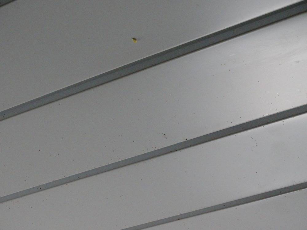 Lessivage- Nettoyage - plafond -lames-alu-cuisine-Belfort   (52)