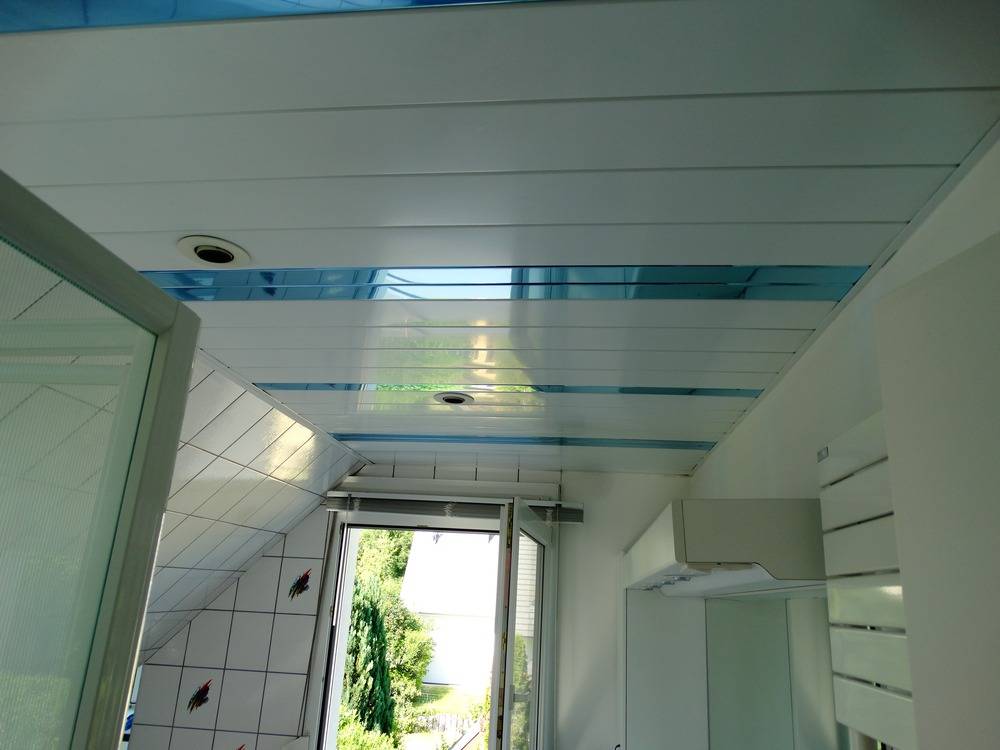 Lessivage- Nettoyage - plafond -lames-alu-cuisine-Alkirch    (19)