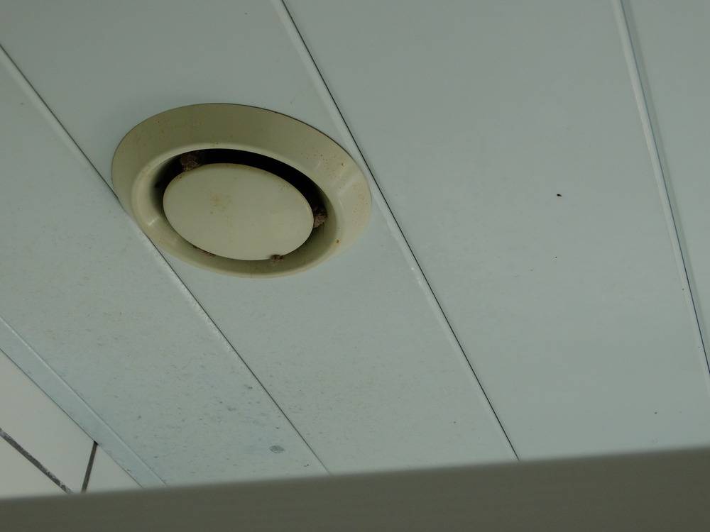 Lessivage- Nettoyage - plafond -lames-alu-cuisine-Alkirch    (15)