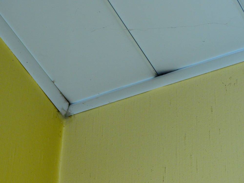 Lessivage- Nettoyage - plafond -lames-alu-cuisine-Pulversheim    (40)