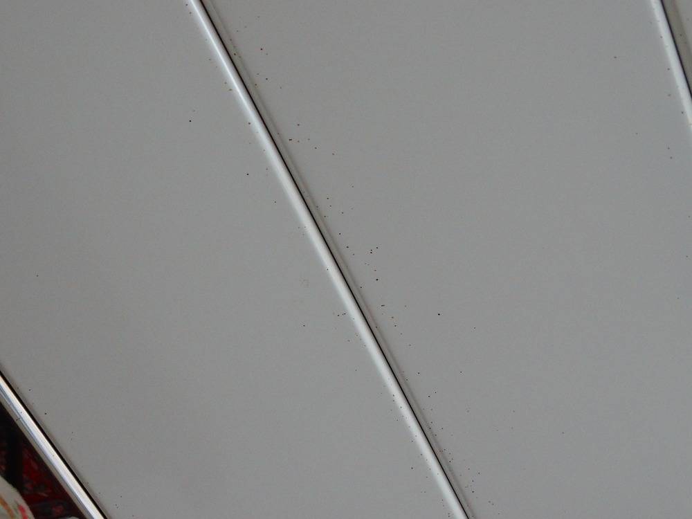 Lessivage- Nettoyage - plafond -lames-alu-cuisine-Pulversheim    (41)
