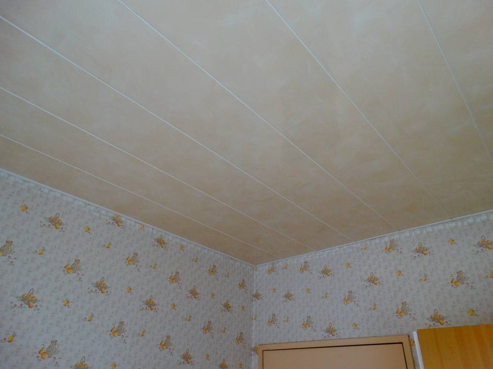 Lessivage- Nettoyage - plafond -lames-PVC-cuisine-Belfort  (66)