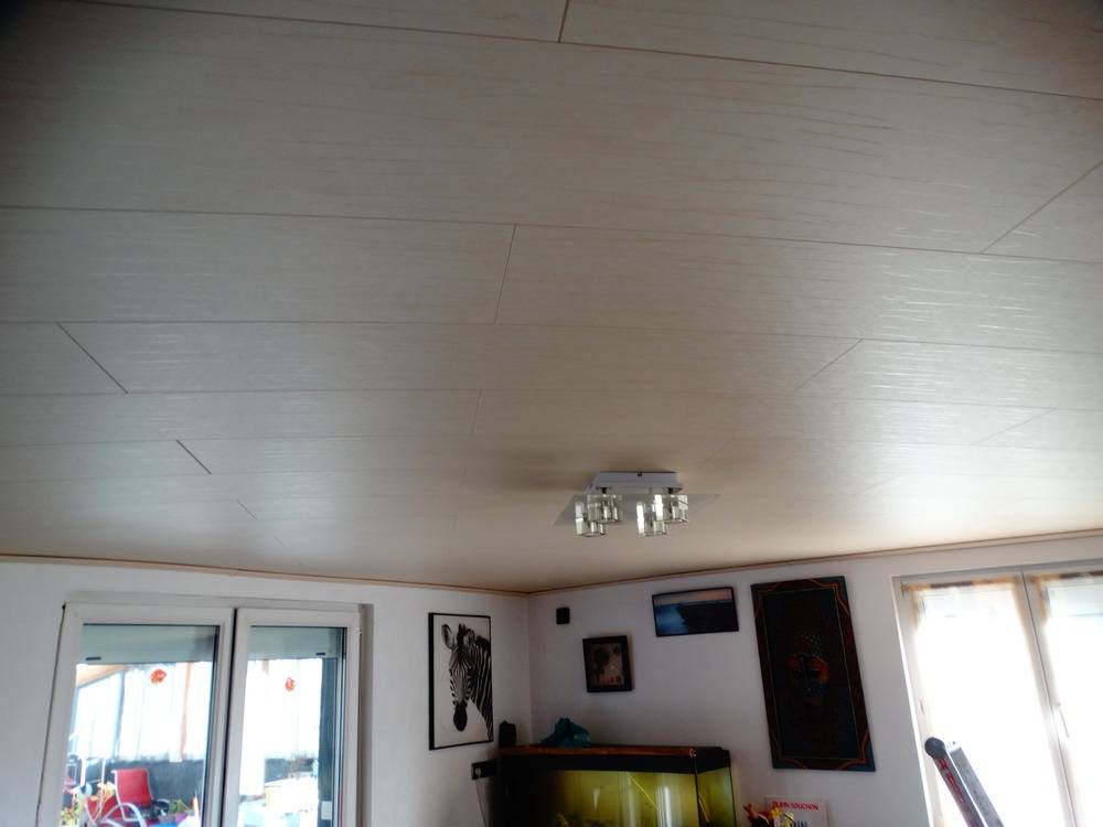 Lessivage- Nettoyage - 4 (3)