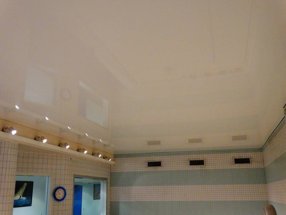 Lessivage- Nettoyage - plafond -tendu-piscine-Mulhouse  (102)