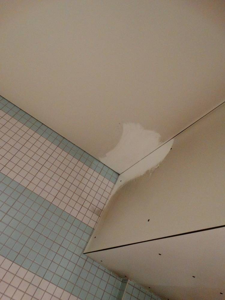 Lessivage- Nettoyage - plafond -tendu-piscine-Mulhouse  (75)