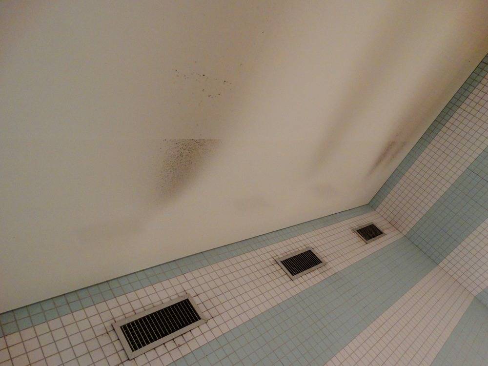 Lessivage- Nettoyage - plafond -tendu-piscine-Mulhouse  (77)