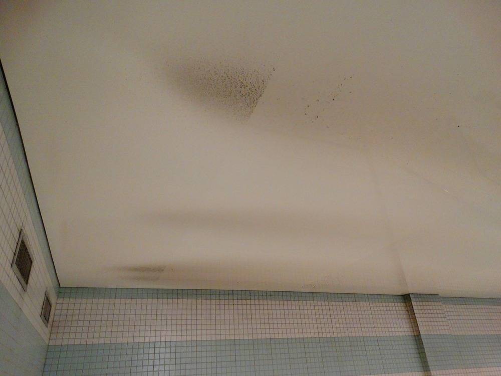 Lessivage- Nettoyage - plafond -tendu-piscine-Mulhouse  (78)