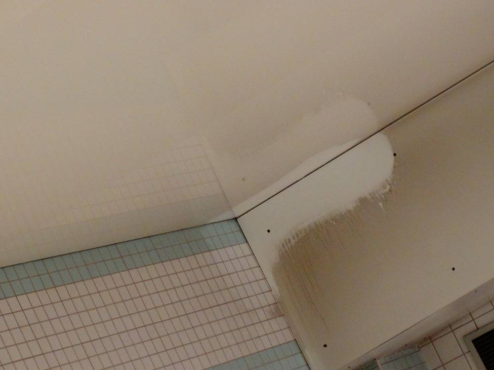 Lessivage- Nettoyage - plafond -tendu-piscine-Mulhouse  (79)