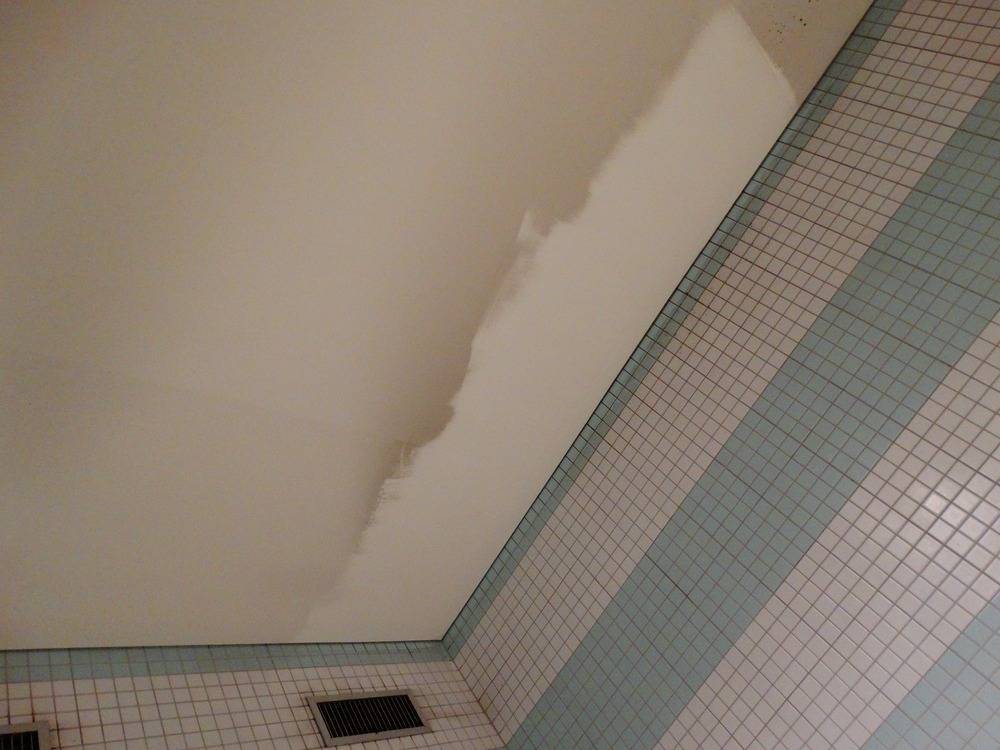 Lessivage- Nettoyage - plafond -tendu-piscine-Mulhouse  (80)
