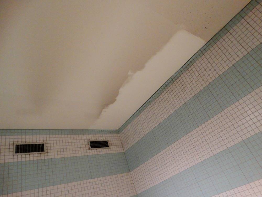 Lessivage- Nettoyage - plafond -tendu-piscine-Mulhouse  (81)