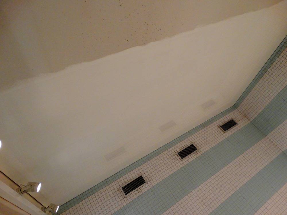 Lessivage- Nettoyage - plafond -tendu-piscine-Mulhouse  (82)