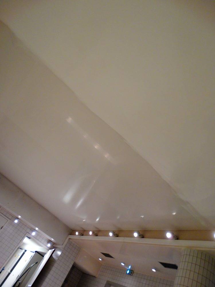 Lessivage- Nettoyage - plafond -tendu-piscine-Mulhouse  (85)