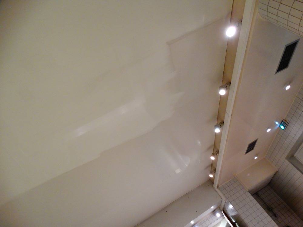 Lessivage- Nettoyage - plafond -tendu-piscine-Mulhouse  (87)