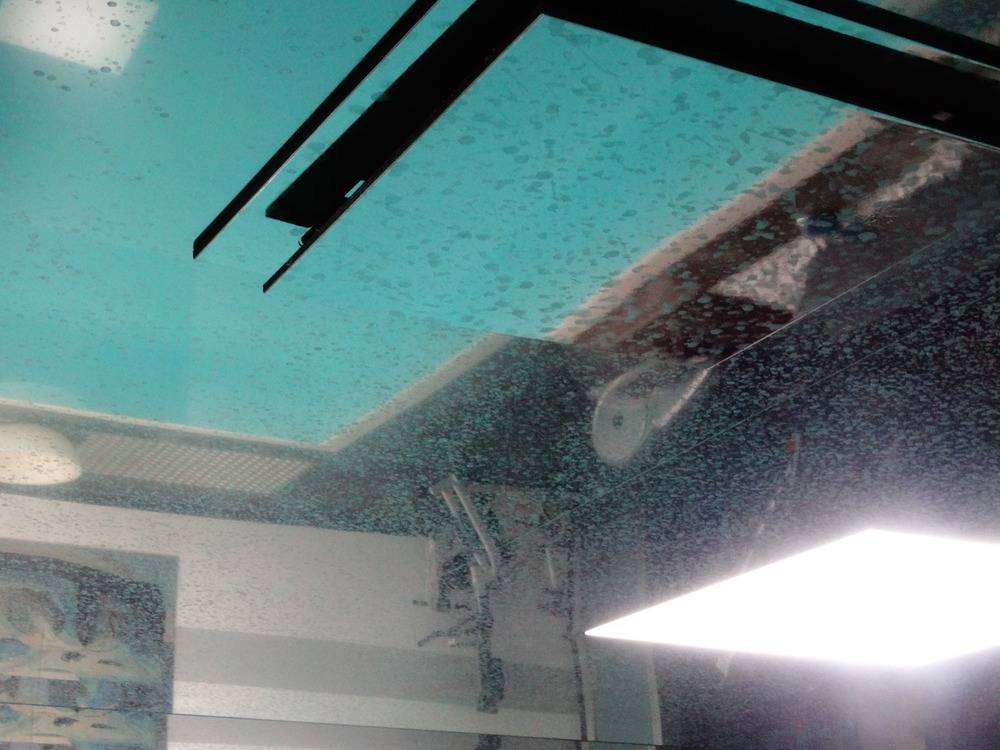 Lessivage- Nettoyage - plafond -tendu-PVC-piscine-Colmar(110)