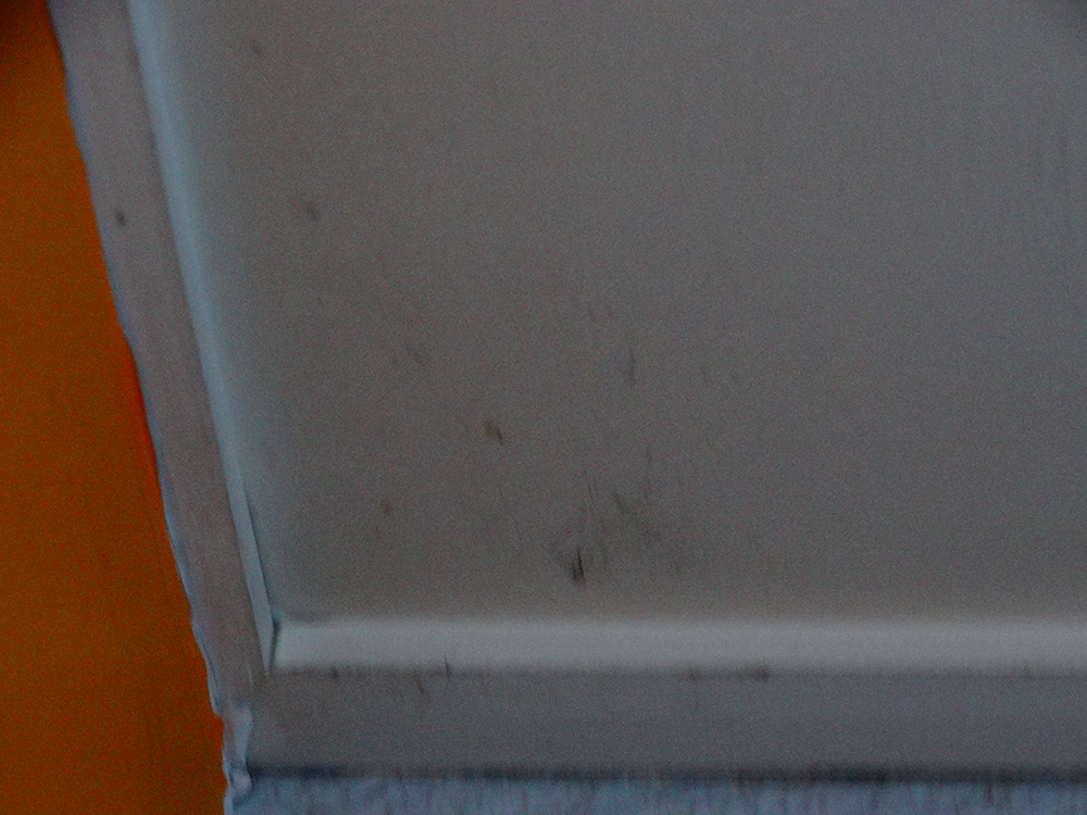 Lessivage- Nettoyage - plafond -tendu-PVC-salon-de-coiffure-ungersheim(102)