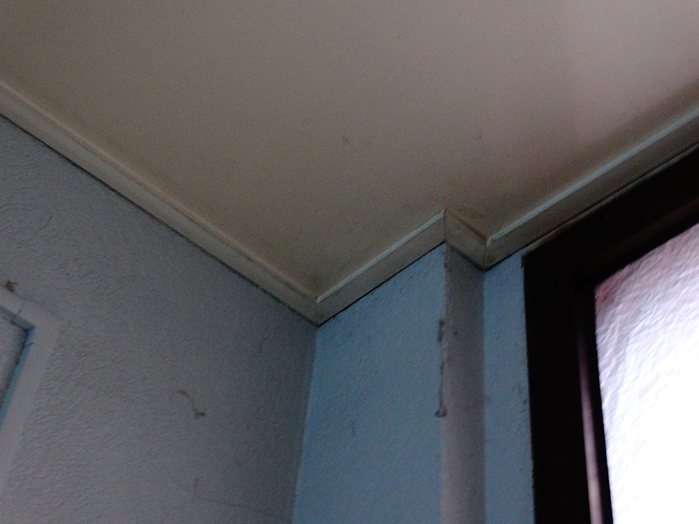 Lessivage- Nettoyage - plafond -tendu-PVC-salon-de-coiffure-ungersheim(103)