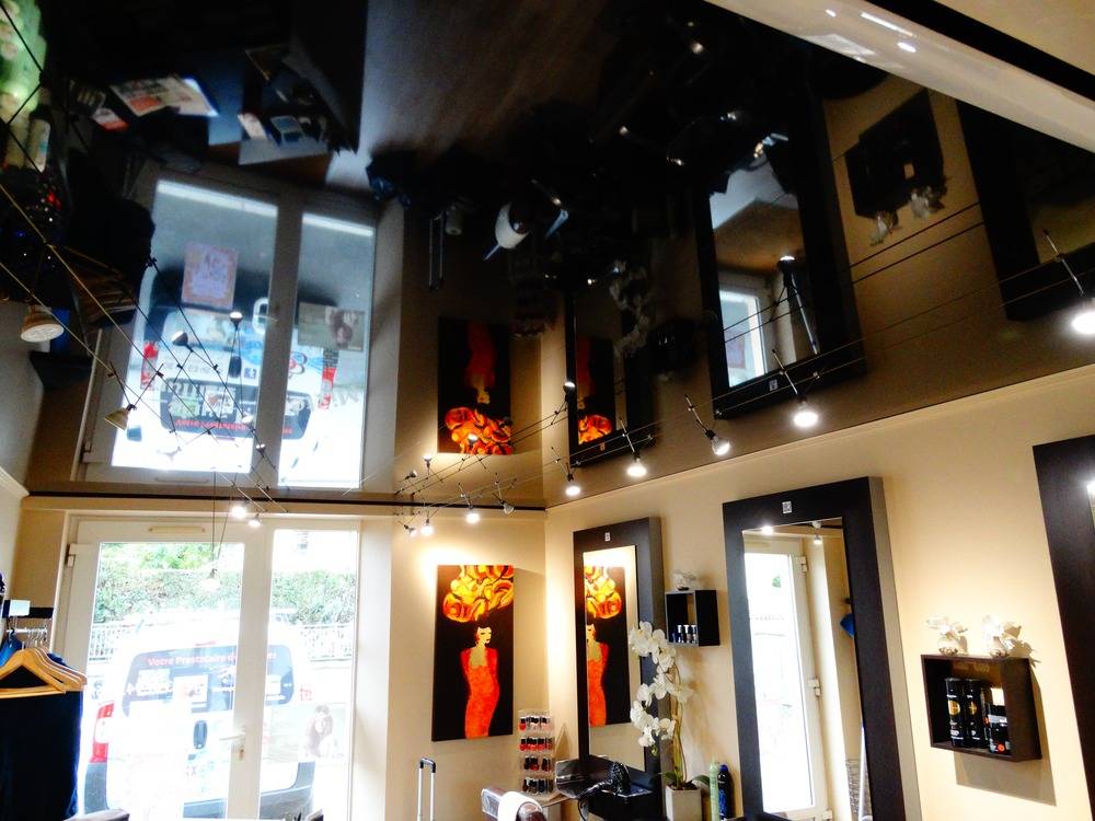 Lessivage- Nettoyage - plafond -tendu-PVC-salon-Masevaux (108)