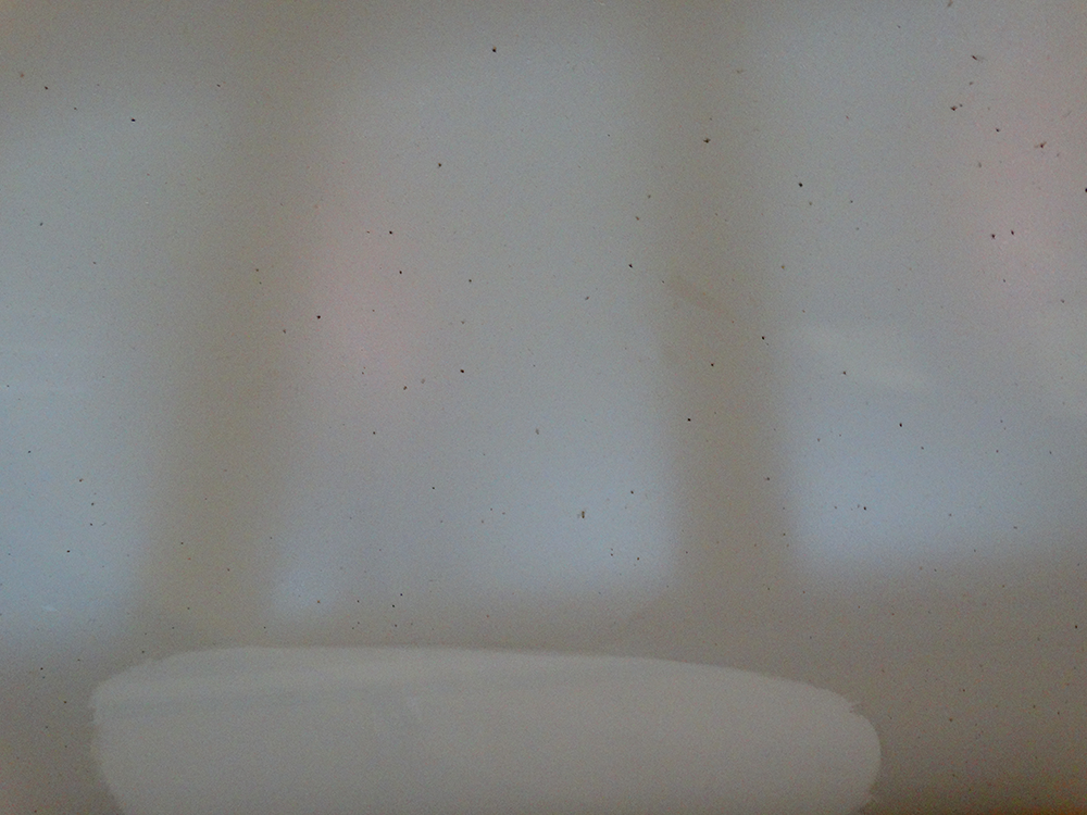 Lessivage- Nettoyage - plafond -tendu-PVC-chambre-salle-de-bain-salon-strasbourg (89)