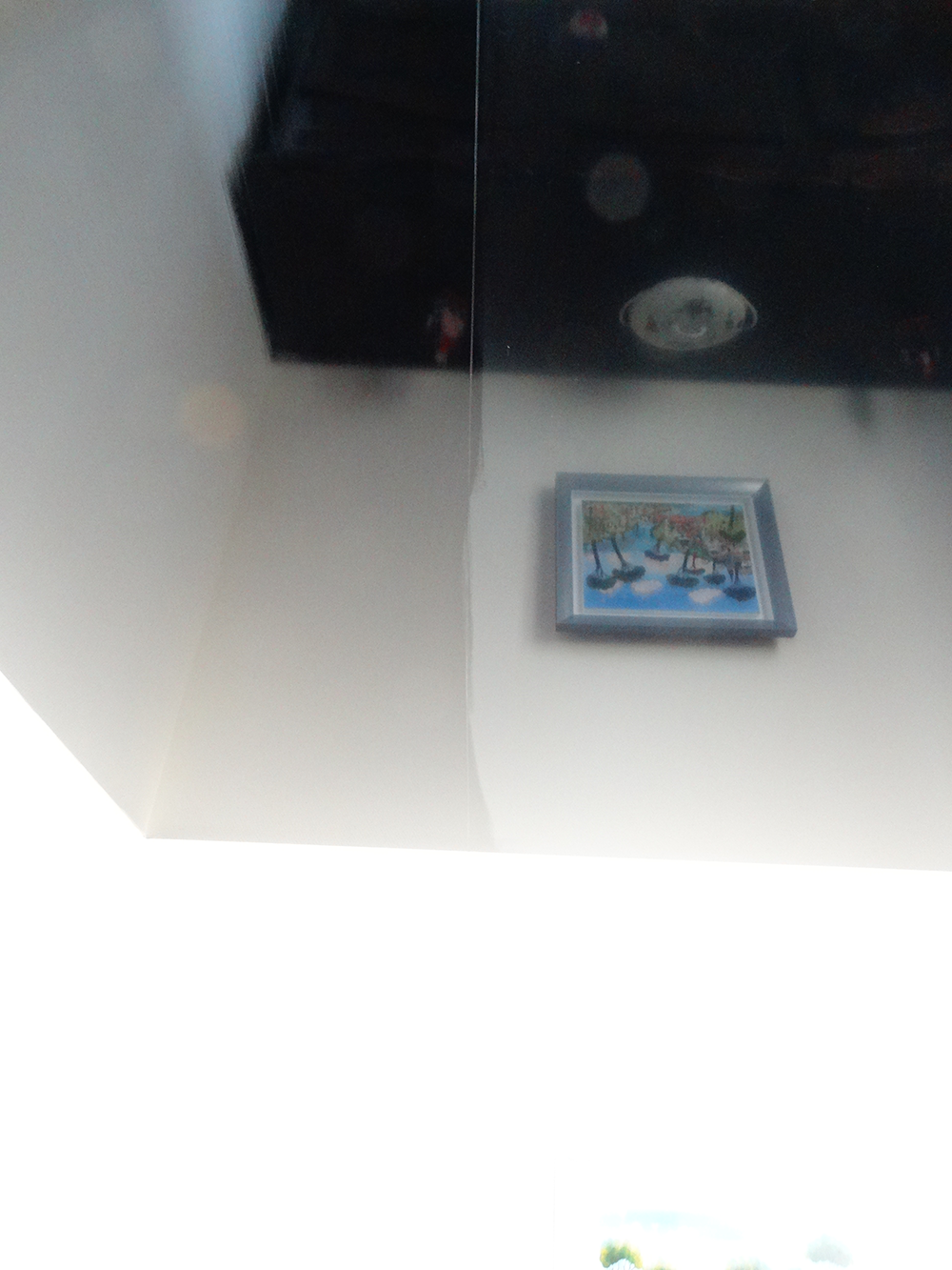 Lessivage- Nettoyage - plafond -tendu-PVC-salon-Mulhouse(53)
