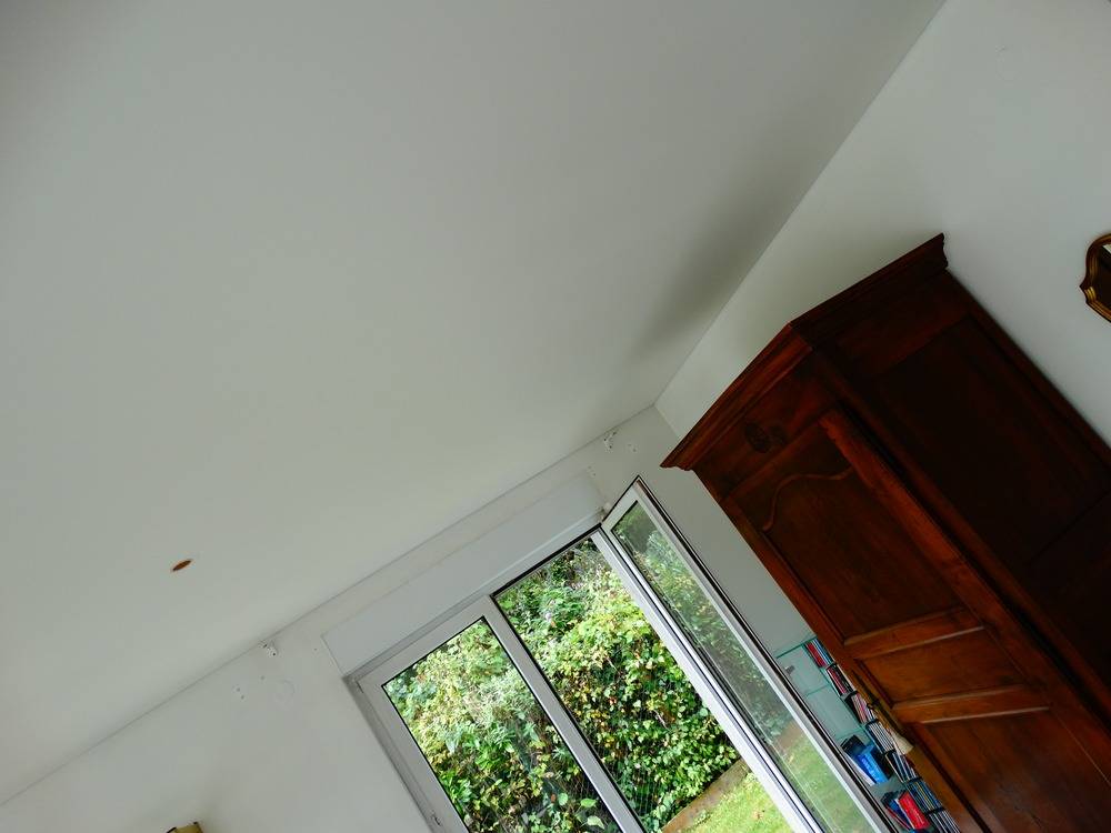 Nettoyage plafond - Toile PVC Mat - 3