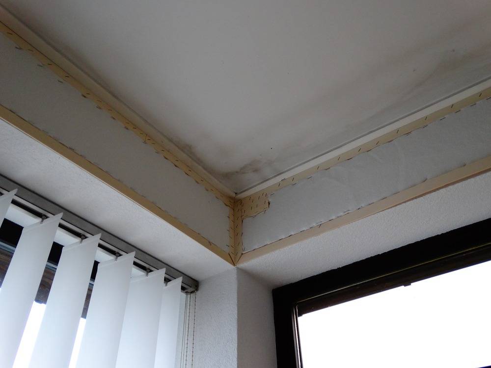 Lessivage- Nettoyage - plafond -tendu-salon-Masevaux   (60)