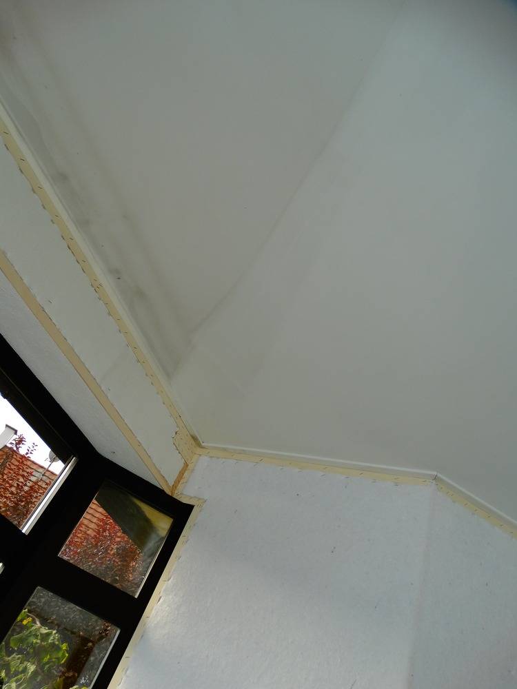 Lessivage- Nettoyage - plafond -tendu-salon-Masevaux   (76)