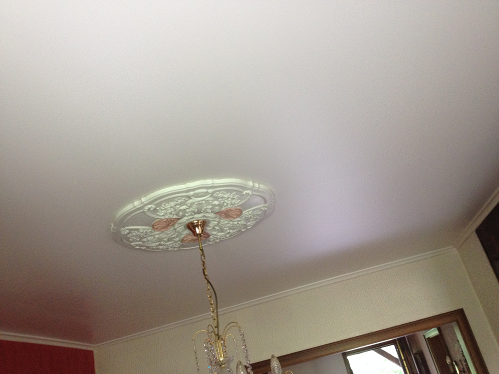 Lessivage- Nettoyage - plafond -tendu-salon-Saint-Louis (45)