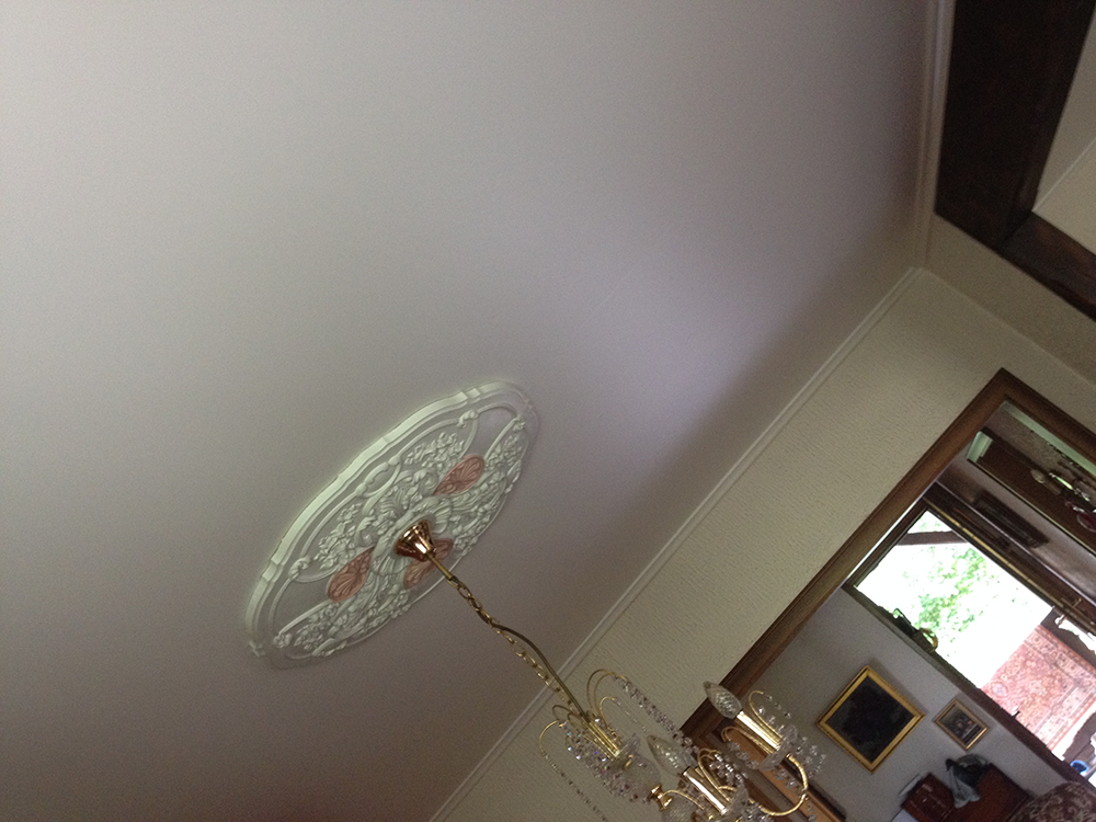 Lessivage- Nettoyage - plafond -tendu-salon-Saint-Louis (46)