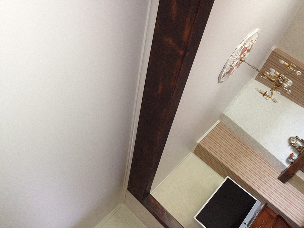 Lessivage- Nettoyage - plafond -tendu-salon-Saint-Louis (47)