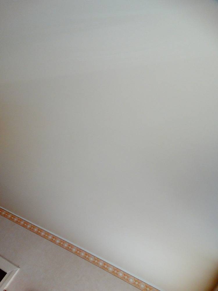 Lessivage- Nettoyage - plafond -tendu-PVC-salon-Mulhouse (22)
