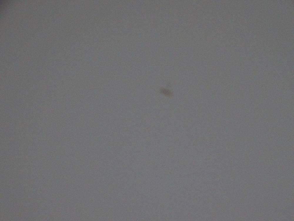Lessivage- Nettoyage - plafond -tendu-PVC-salon-cuisine-chambre-Strasbourg (68)