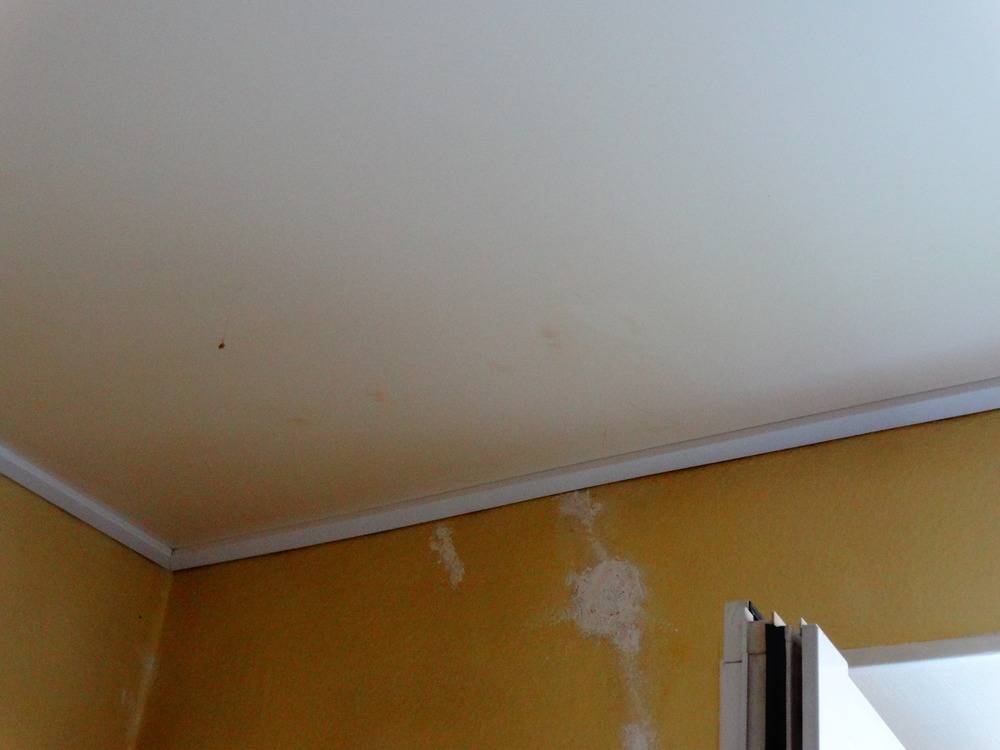Lessivage- Nettoyage - plafond -tendu-PVCsalon-Mulhouse (46)