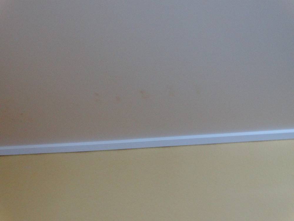 Lessivage- Nettoyage - plafond -tendu-PVCsalon-Mulhouse (47)