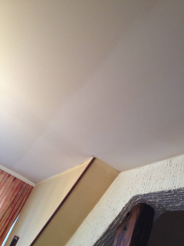 Lessivage- Nettoyage - plafond -tissus-salon-Hombourg(50)