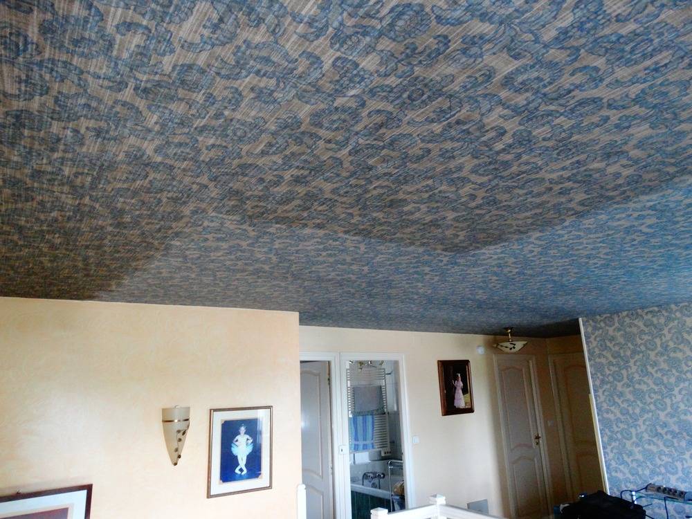Lessivage- Nettoyage - plafond -tissus-salon-Belfort(44)