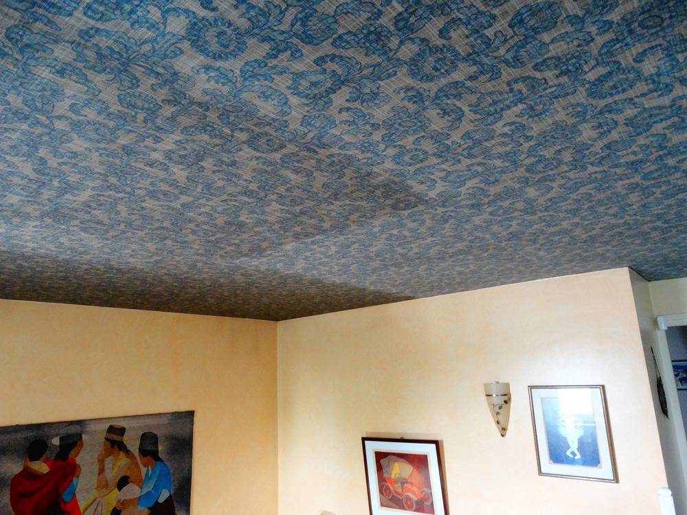 Lessivage- Nettoyage - plafond -tissus-salon-Belfort(45)