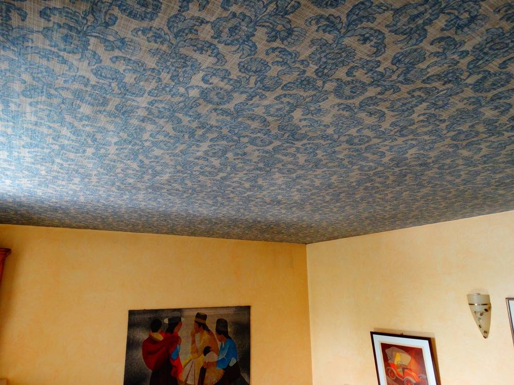 Lessivage- Nettoyage - plafond -tissus-salon-Belfort(46)