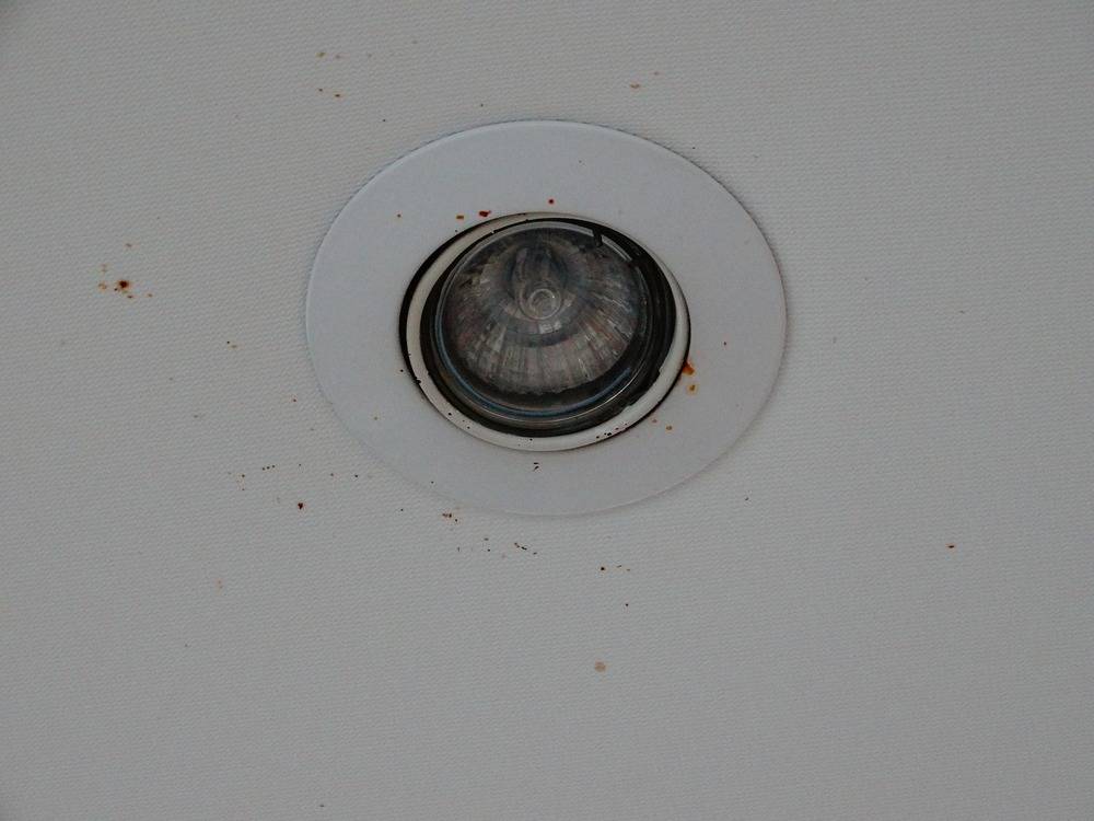 Lessivage- Nettoyage - plafond -tissus-salon-Mulhouse(84)