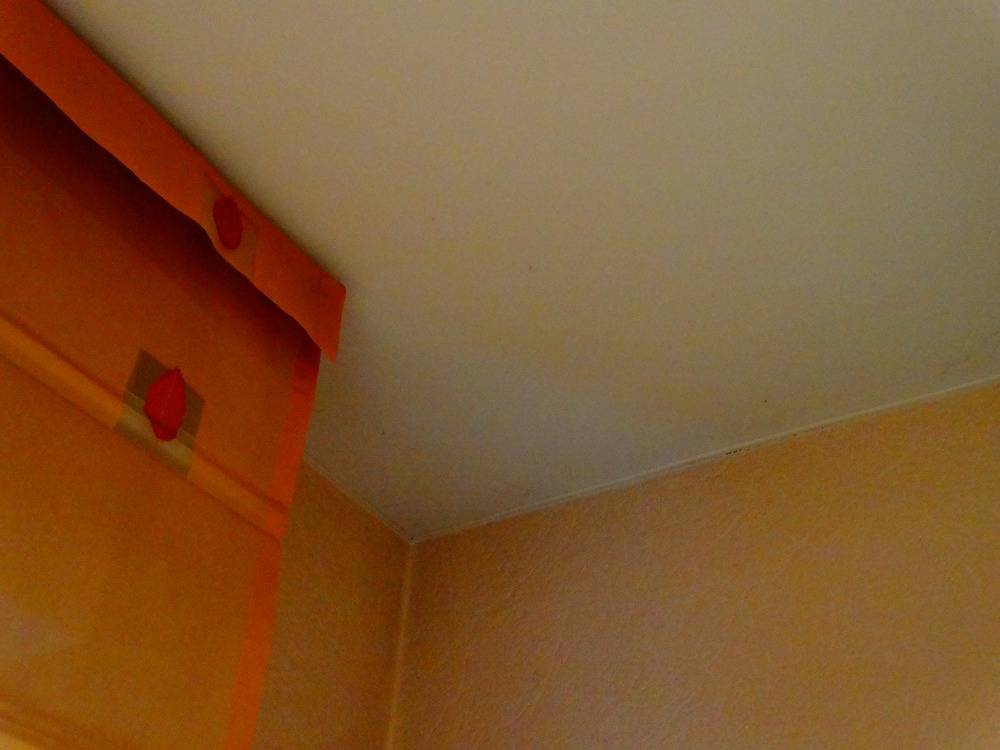 Lessivage- Nettoyage - plafond -tissus-salon-Rixheim(81)