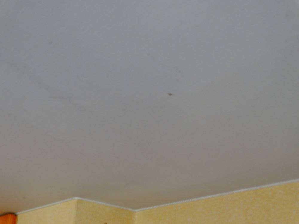 Net tissu - 8 (2)