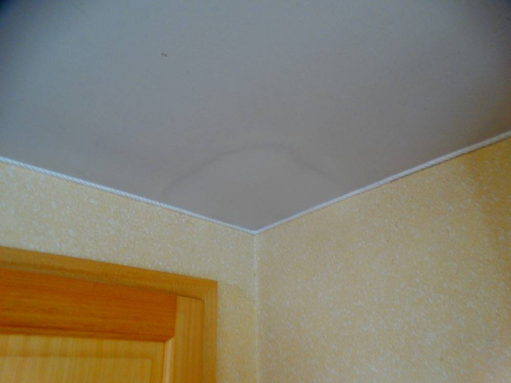 Net tissu - 8 (3)