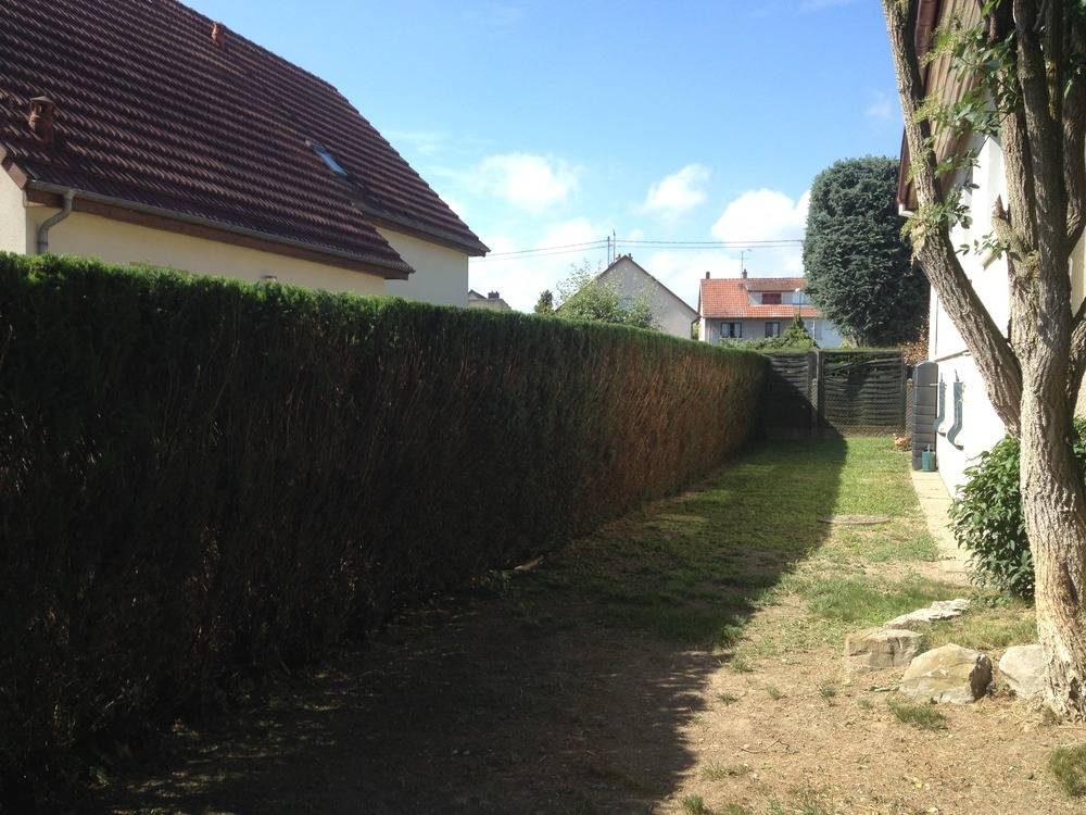 Entretien- espace- vert -Sausheim (46)