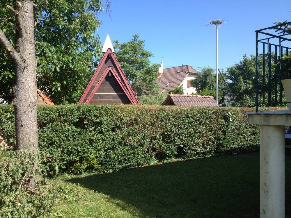 Entretien- espace- vert -Sausheim (49)