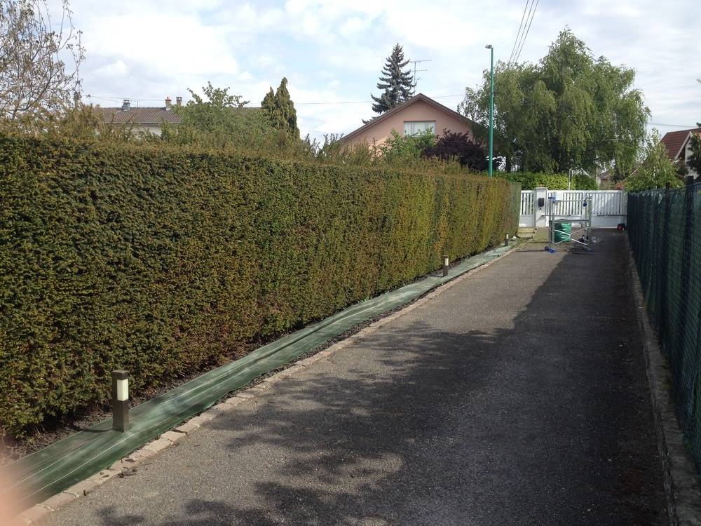 Entretien- espace- vert -Sausheim (50)