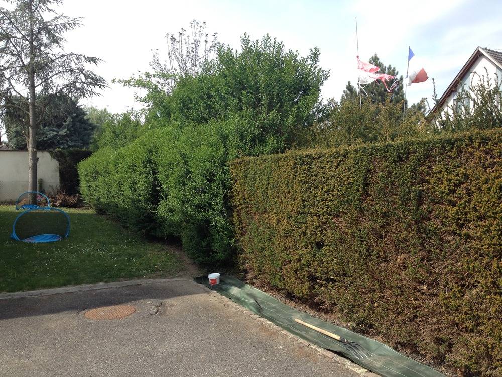 Entretien- espace- vert -Sausheim (51)