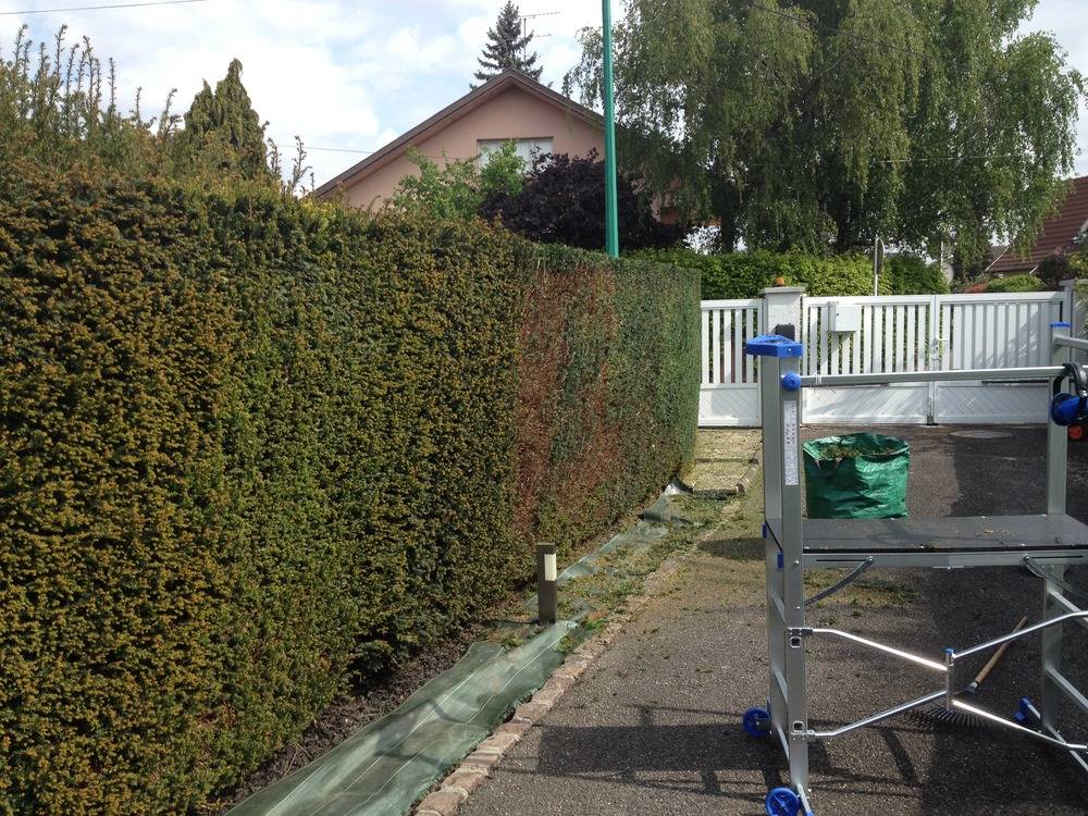 Entretien- espace- vert -Sausheim (52)